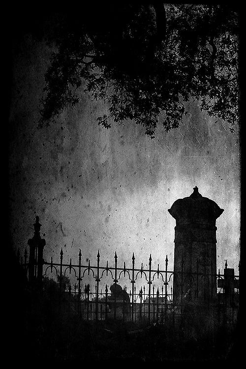 4bb7cf7b43a7ec583bb89f14ff83ed1e