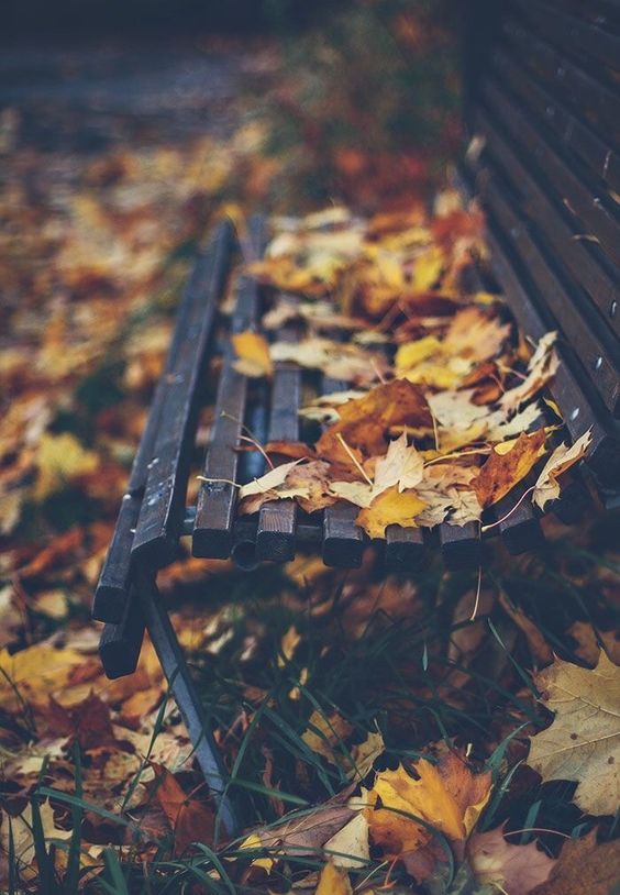 Fall